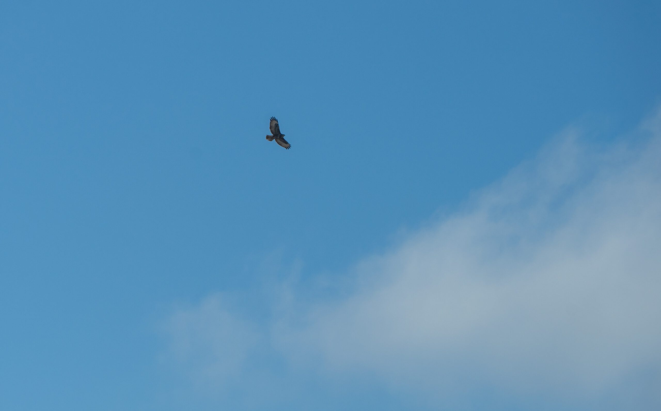 20260225-DSC04018_Original